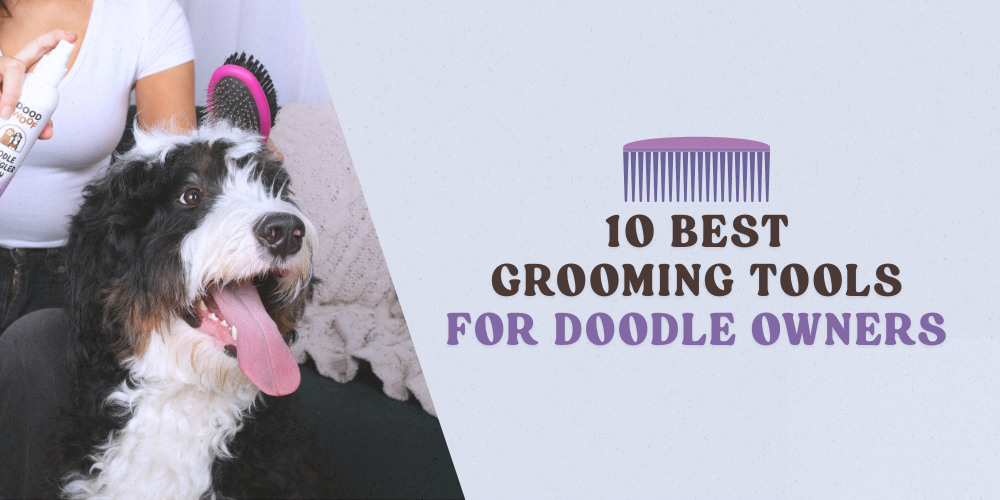 10 Best Grooming Tools for Doodle Owners
