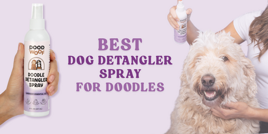 best dos detangler spray