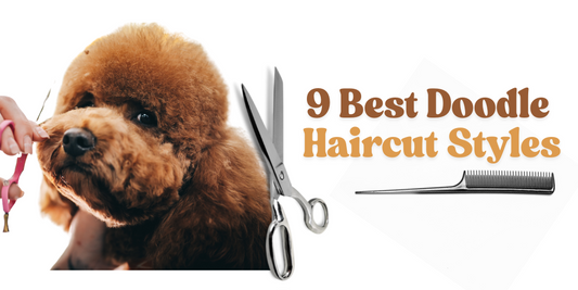 9 best Doodle Haircut Styles