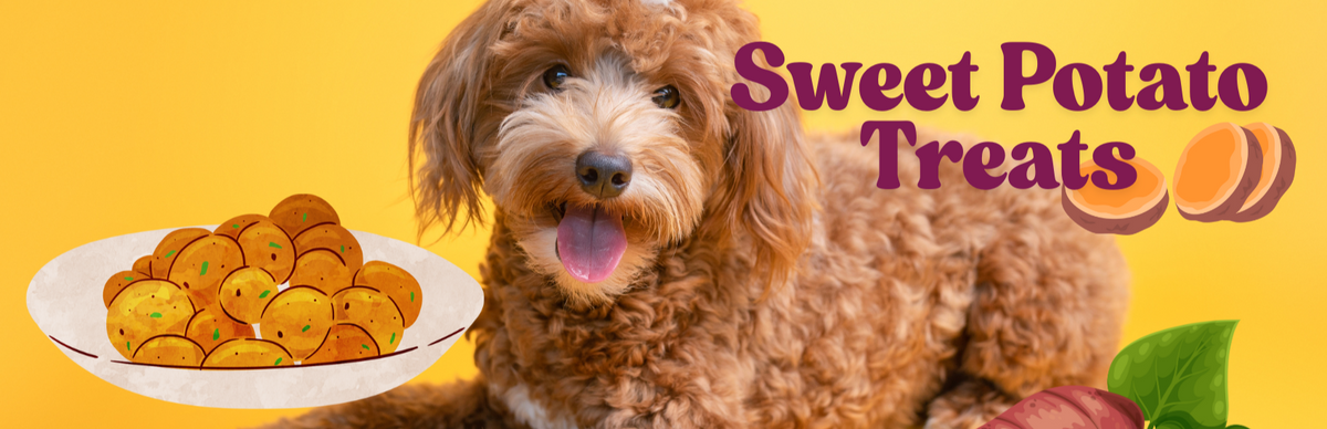 Sweet Potato treats for your Doodle Dog
