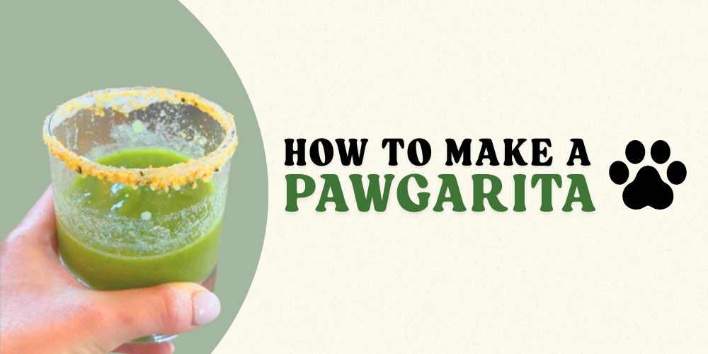 How to Make a Pawgarita: Dog-Friendly Margarita