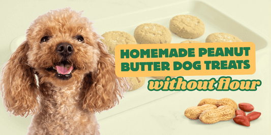 Homemade Peanut Butter Dog Treats Without Flour