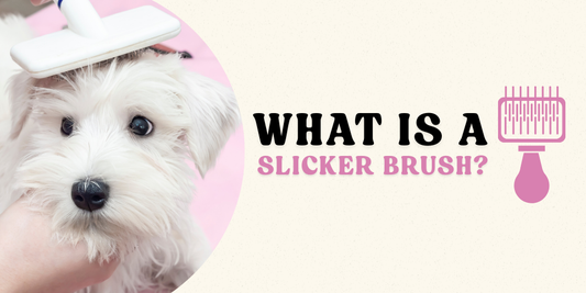what is a slicker brush