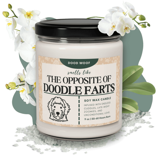 Scented Soy Candle, 9oz