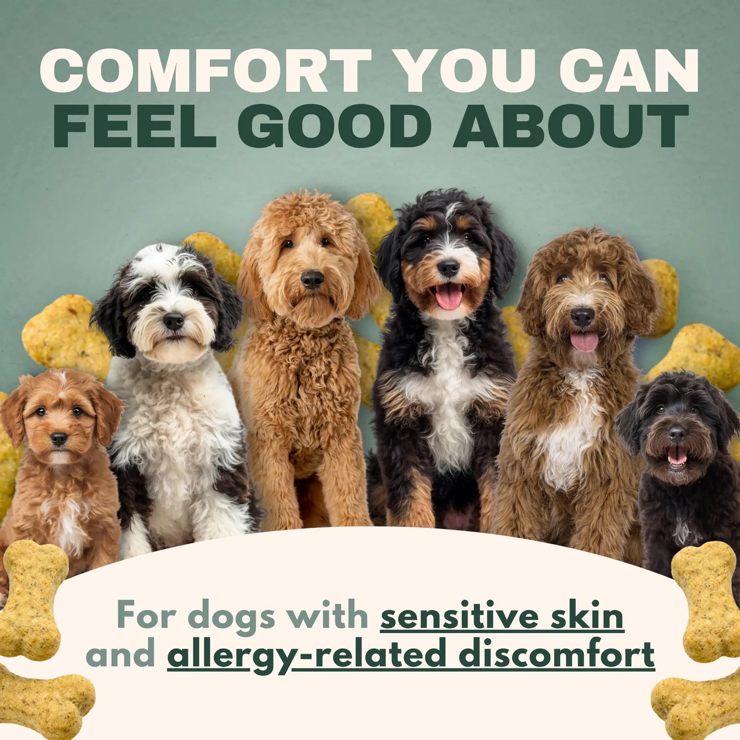 Comfort for doodles with sensitive skin and allergy-related discomfort