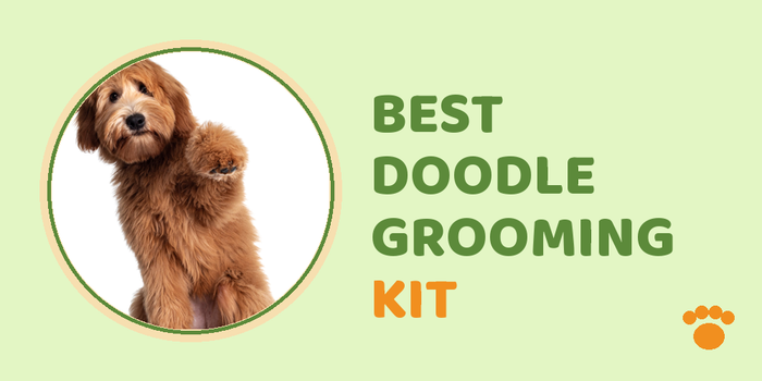 Best Grooming Tools For Doodles
