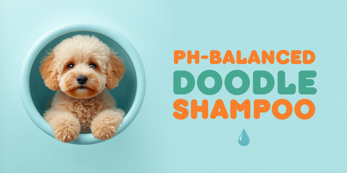 pH-Balanced Doodle Shampoo