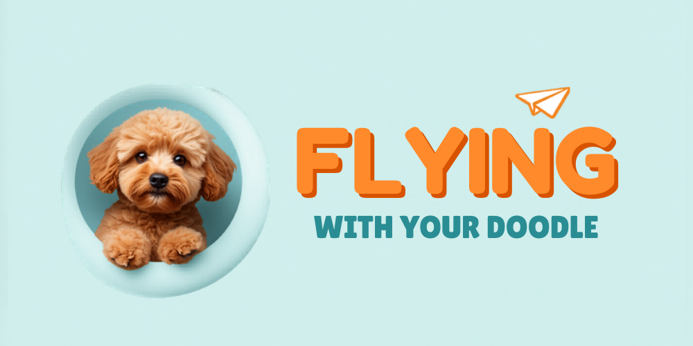Flying with Your Doodle