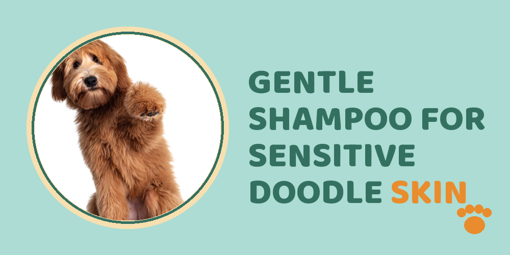 Gentle shampoo for sensitive doodle skin