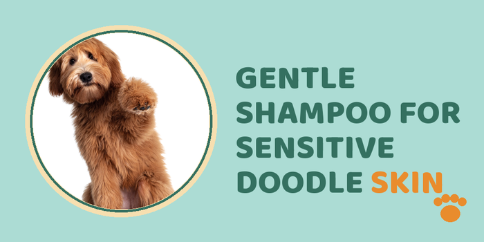 Gentle shampoo for sensitive doodle skin