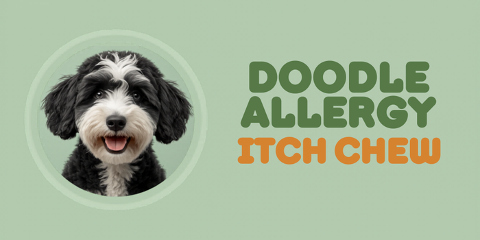 What to Look for in a Doodle Allergy and Itch Chew