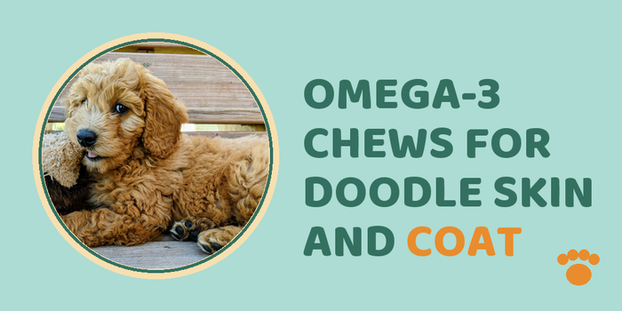 Omega-3 Chews For Doodle Skin And Coat