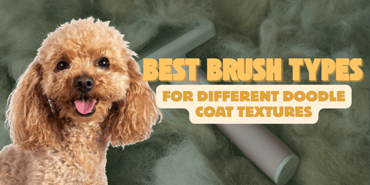 Best Brush Types for Different Doodle Coat Textures