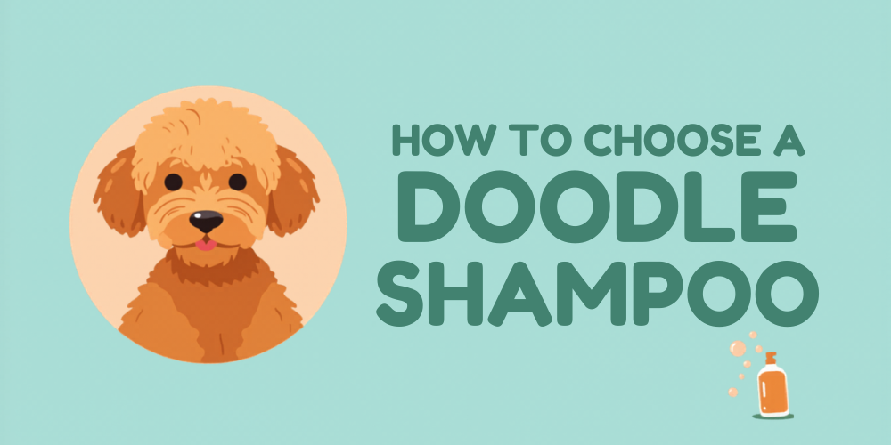 How to Choose the Best Doodle Shampoo