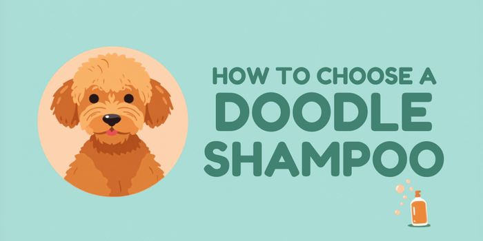 How to Choose the Best Doodle Shampoo