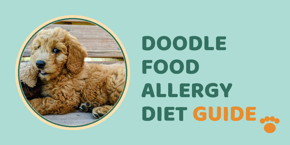 Doodle Food Allergy Diet