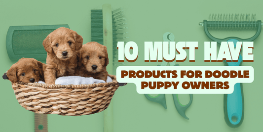 10 Must Have Products for Doodle Puppy Owners