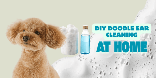 DIY Doodle Ear Cleaning at Home