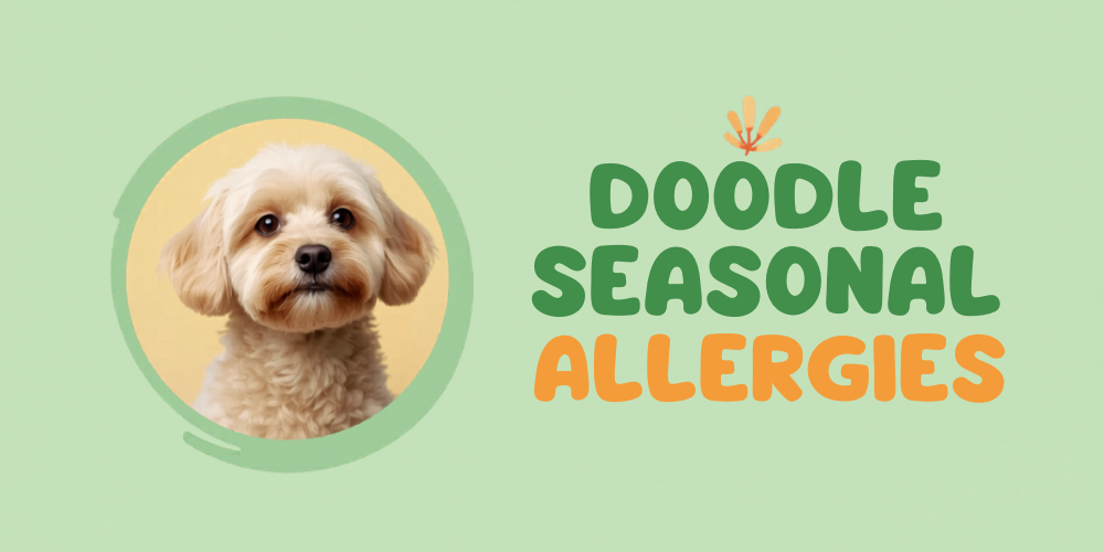 Doodle Seasonal Allergies