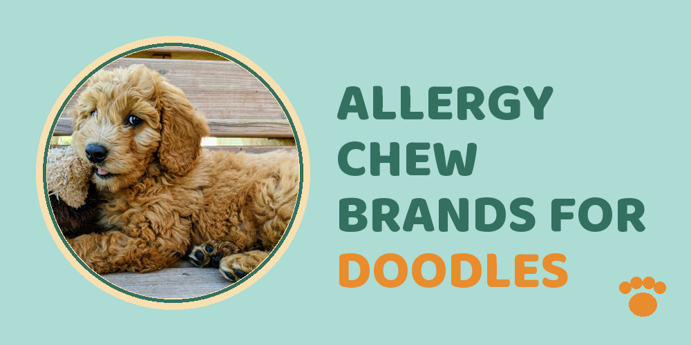 Allergy chew brands compared for doodles