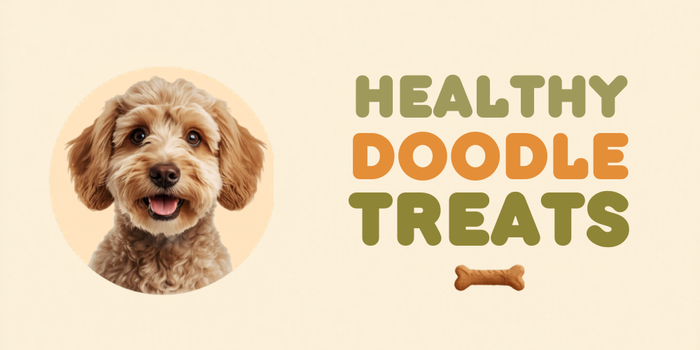 How to Choose Healthy Treats for Your Doodle