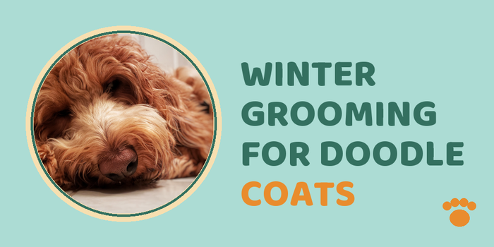 Winter Grooming For Doodle Coats