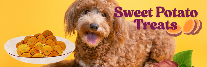 Sweet Potato treats for your Doodle Dog