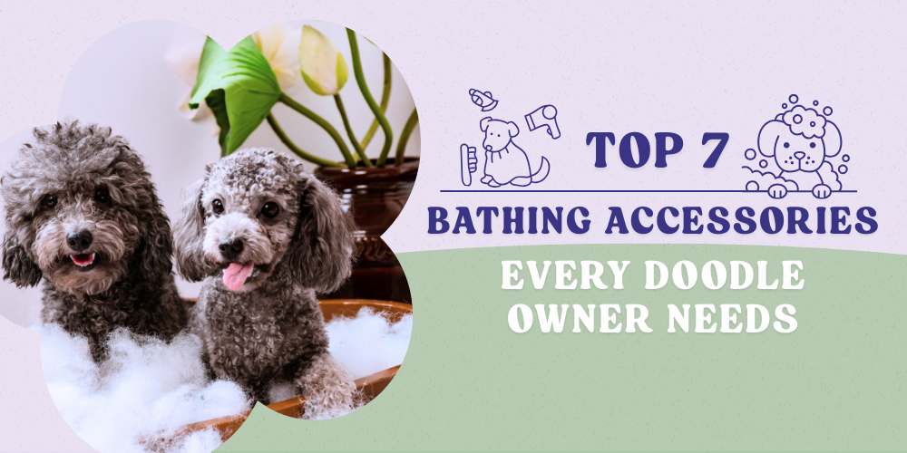 TOP 7 BATHING ACCESORIES EVERY OWNER NEEDS