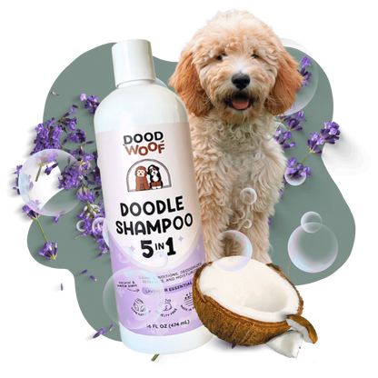 5-in-1 Doodle Shampoo