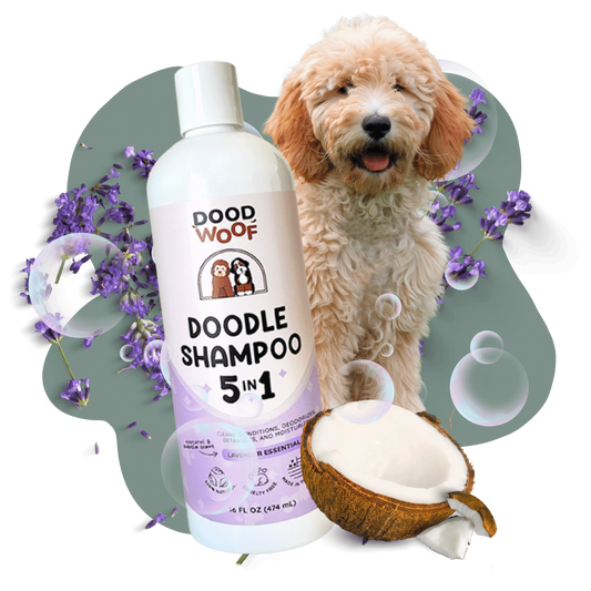 5-in-1 Doodle Shampoo