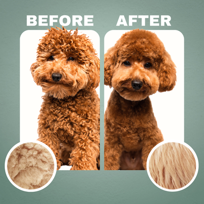 Doodle Detangling Kit: Shampoo + Detangler
