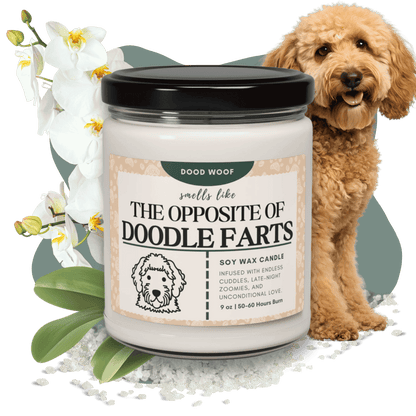 Scented Soy Candle, 9oz