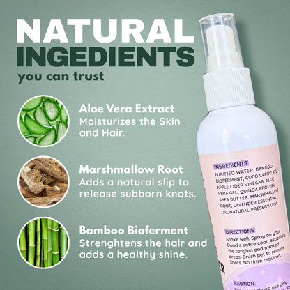 Doodle Detangling Kit: Shampoo + Detangler