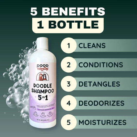 5-in-1 Doodle Shampoo