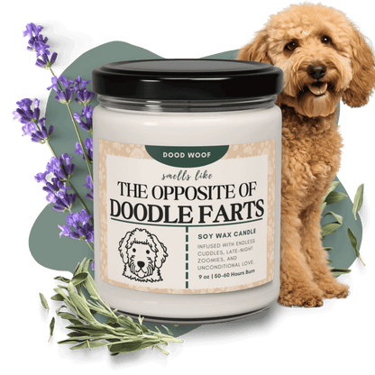 Scented Soy Candle, 9oz