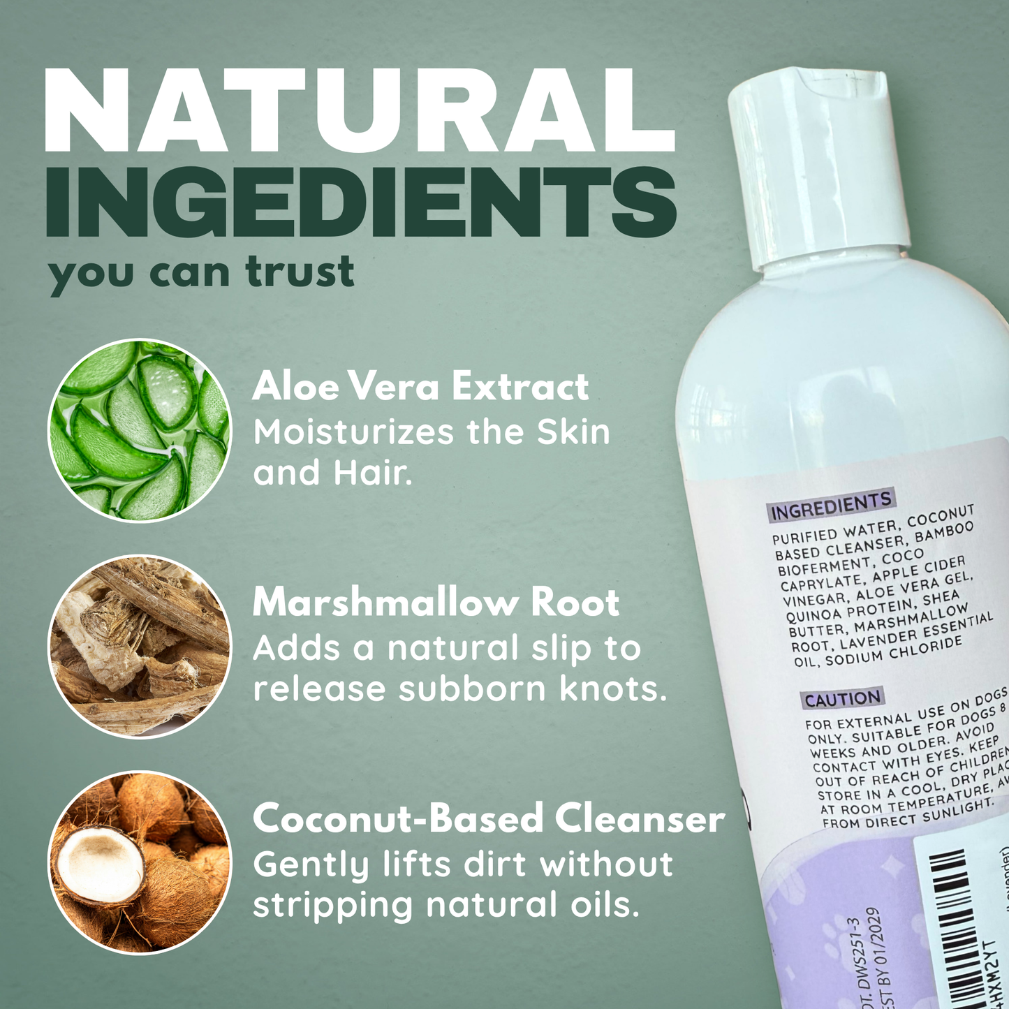 Doodle Detangling Kit: Shampoo + Detangler
