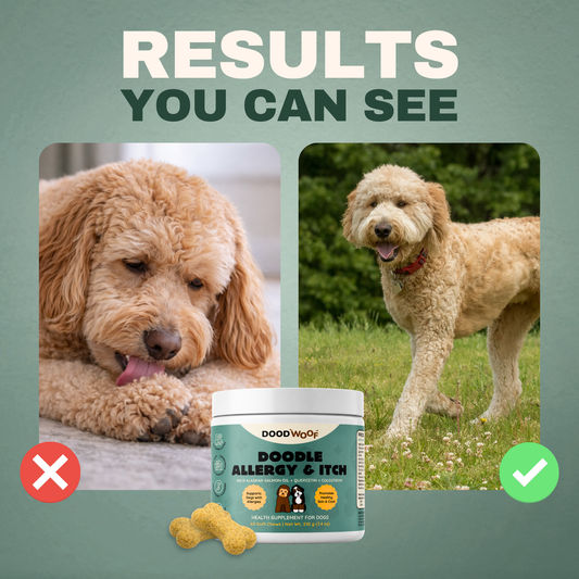 Doodle Allergy & Itch Chews