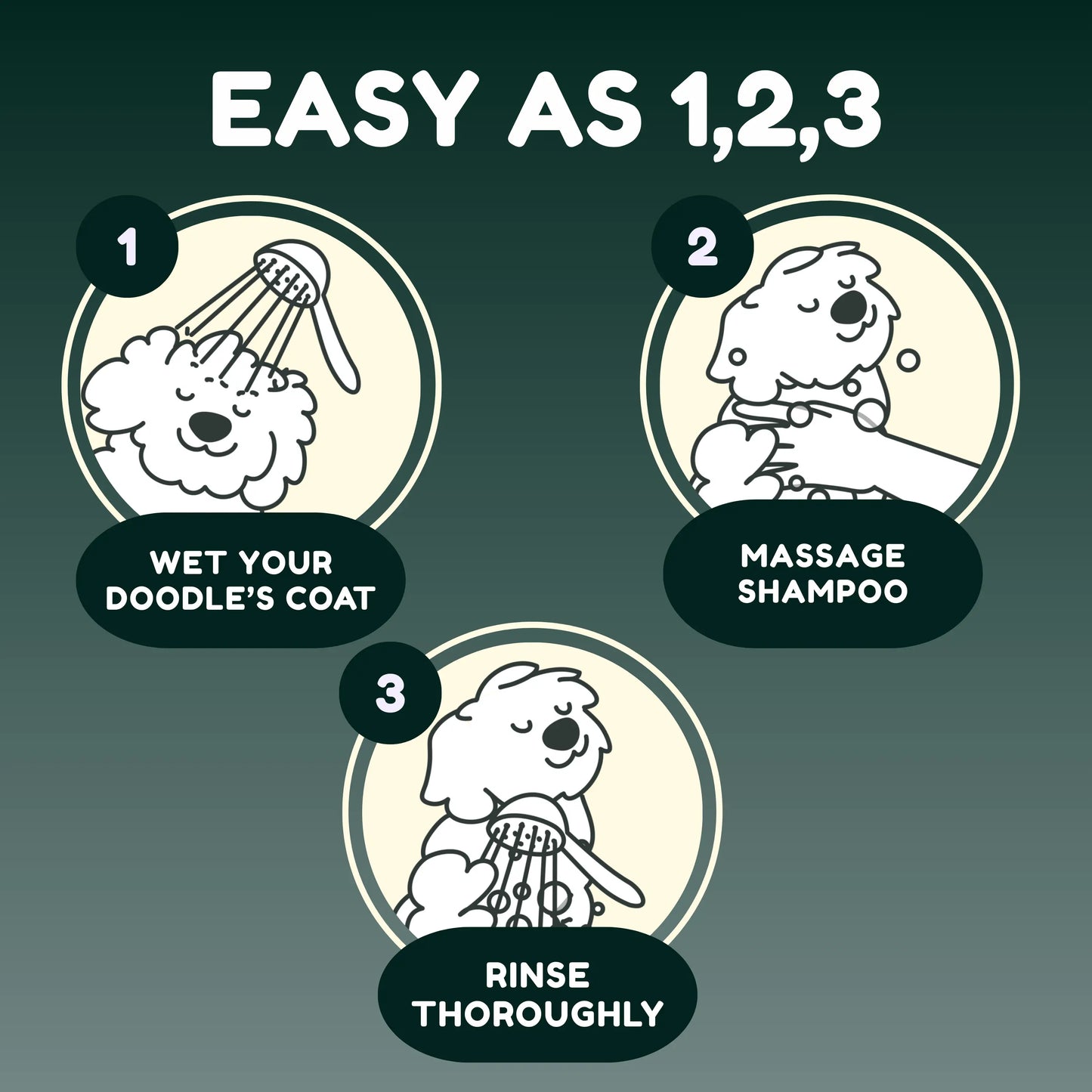 5-in-1 Doodle Shampoo