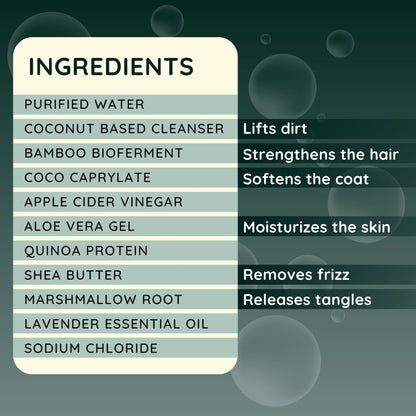 5-in-1 Doodle Shampoo