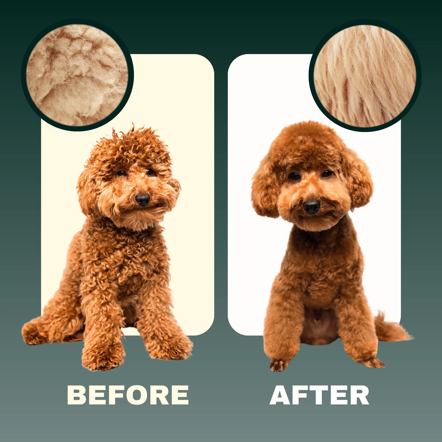 5-in-1 Doodle Shampoo