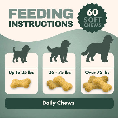 Feeding instructions by dog weight