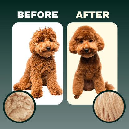 Doodle Detangler Spray before and after results