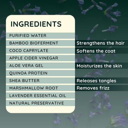 Doodle Detangler Spray